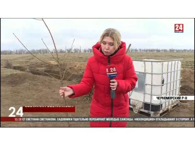 Гидрогель Влагосорб - на телевидении!) Гидрогель Влагосорб - на телевидении!)